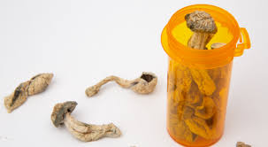 buy magic psychedelic mushrooms uk