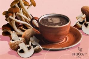 Mushroom coffee
