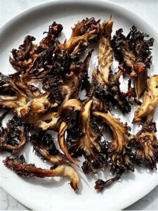 Maitake Mushroom Recipes