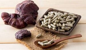 Medicinal Mushrooms Guide