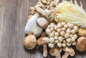 Mushroom benefits