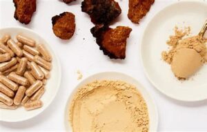 Mushroom supplements