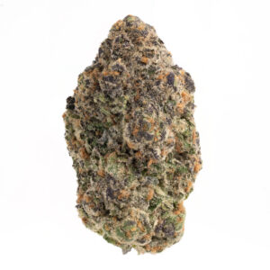 Ganja Gourmet Kit