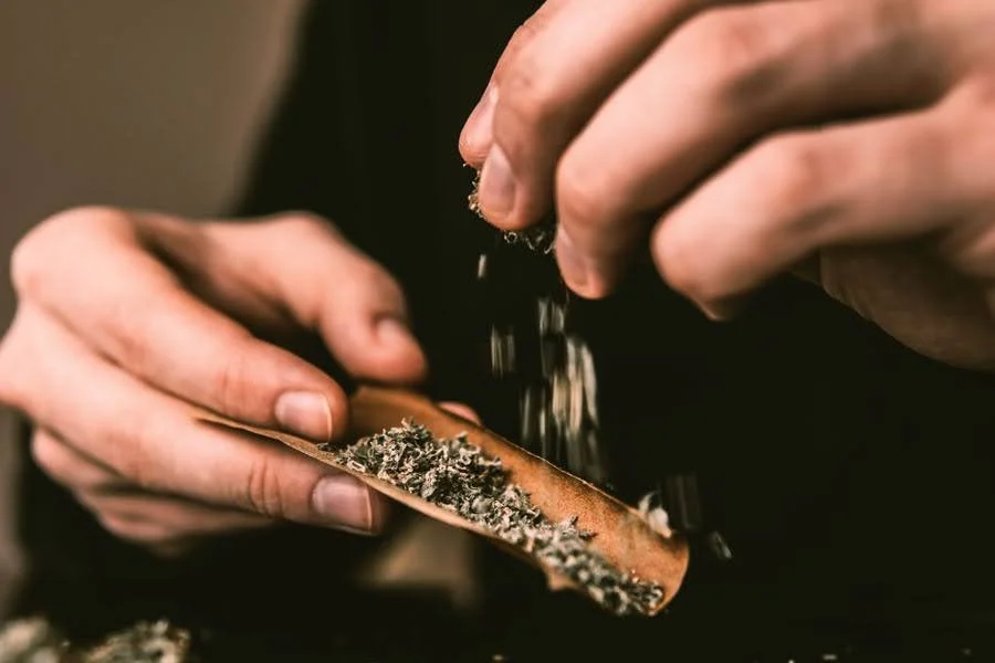 🌿 Best Cigars for Blunts 2025
