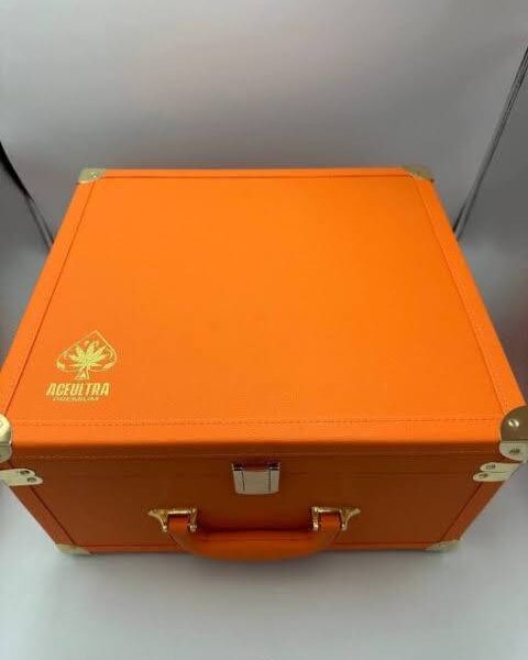 Ace Ultra 2G Disposable Spring Edition (25 Pcs Variety Master Box)