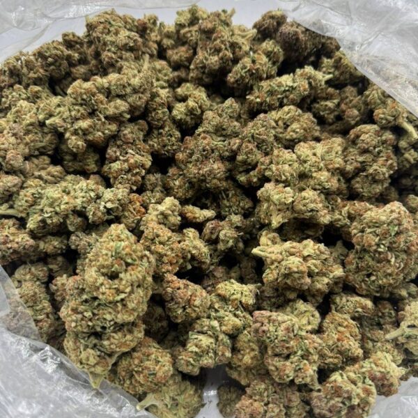 Blueberry Gelato Weed Strain