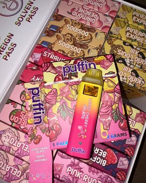 Buy Puffin 3G Disposable Vape Online - Disposable Vape House