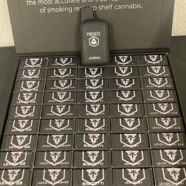 Buy Pyntrees Disposable Vape Online - Disposable Vape House