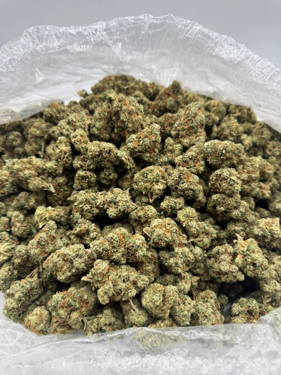 Ghost OG Weed Strain