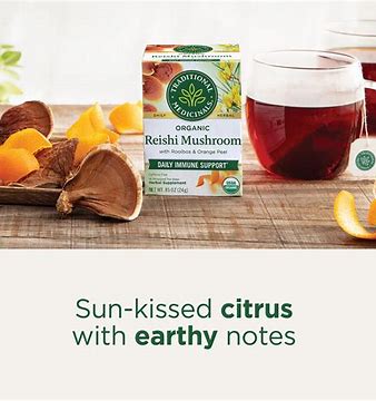 reishi-mushroom-tea-online.jpeg